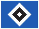 Hamburger Sportverein e.V. (HSV)
