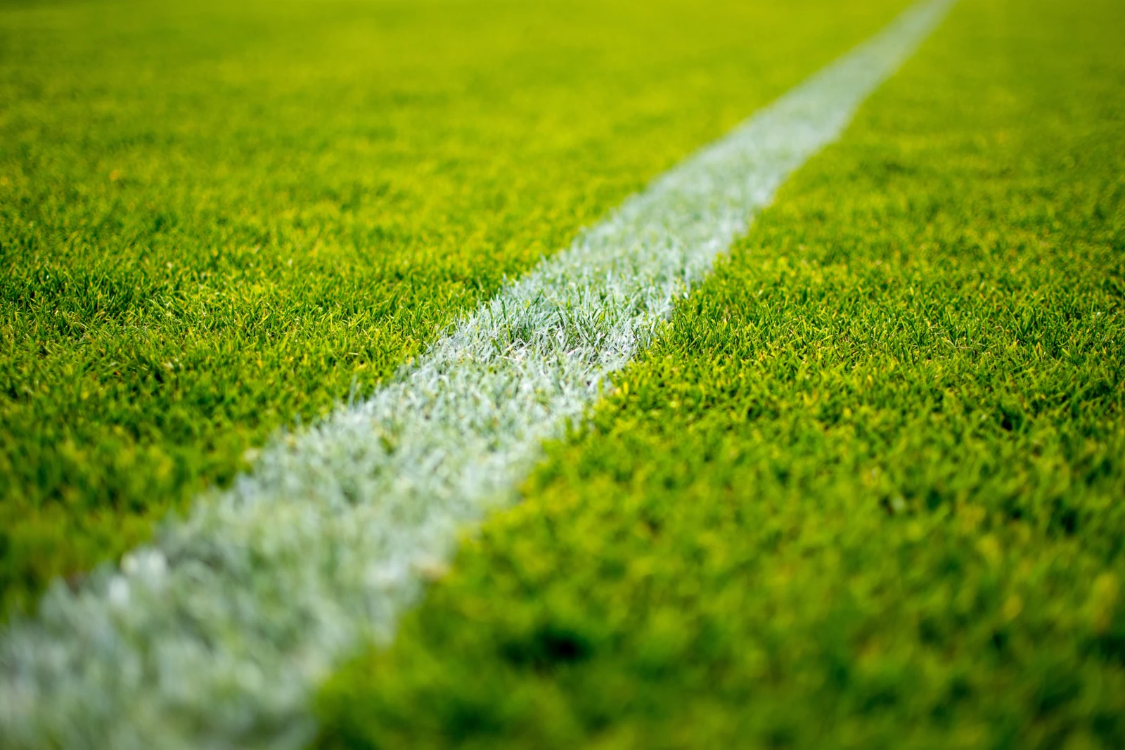 soccer pitch, football pitch, green lawn, fußballfeld, feld, sportfeld, rasen soccer pitch, football pitch, green lawn, fußballfeld, feld, sportfeld, rasen